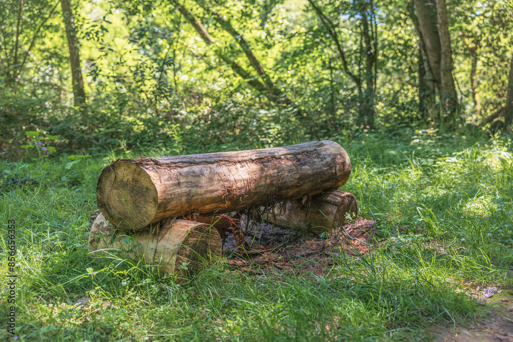 Asiento hecho de troncos en el bosque Asiento hecho de troncos en el bosque