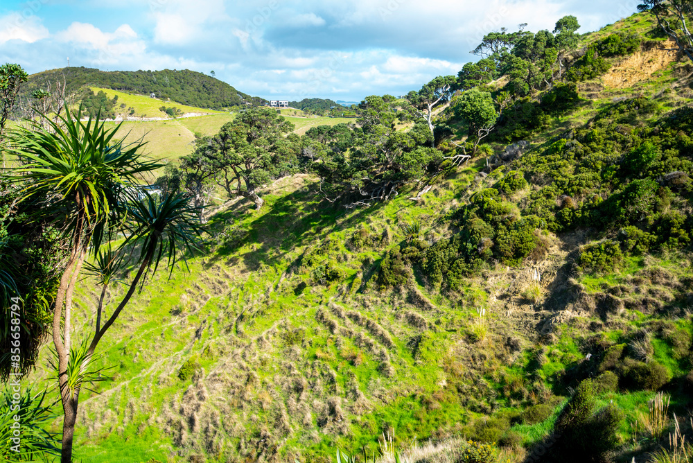 Obraz premium Mangawhai Cliff Walk - New Zealand