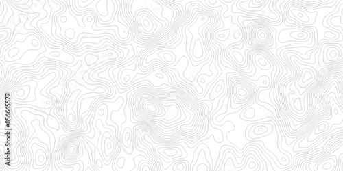 White wave paper curved reliefs abstract background. The topographic map contour in lines isolated. Abstract white topographic map background with lines. Background of the topography map.