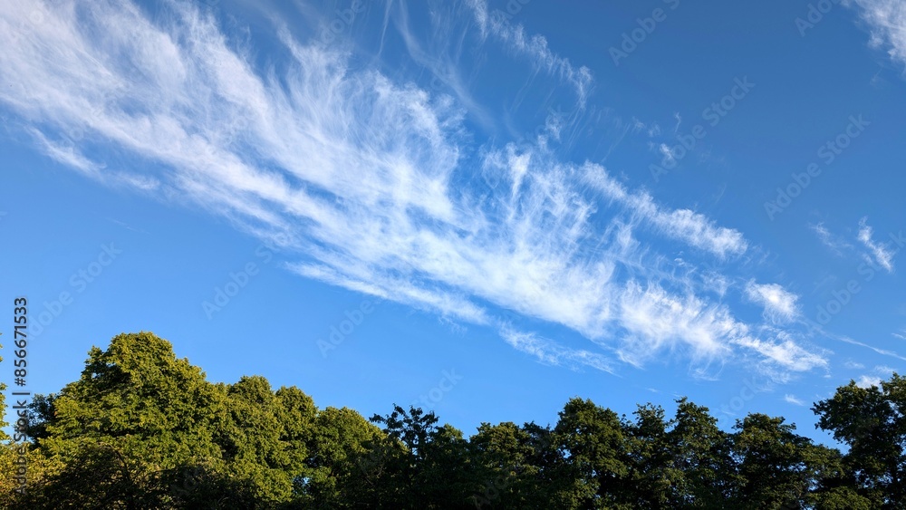Clear blue sky with unusual white clouds above green forest, nature background, painted sky, natural template