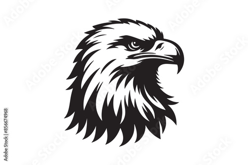 Eagle head vector silhouette illustration.