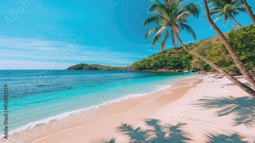 tropical pristine beach paradise with palm trees