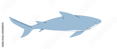 Shark, sea underwater fish. Big great marine predator. Dangerous aquatic animal with cartilage fin. Ocean water wild fauna swimming. Flat vector illustration isolated on white background