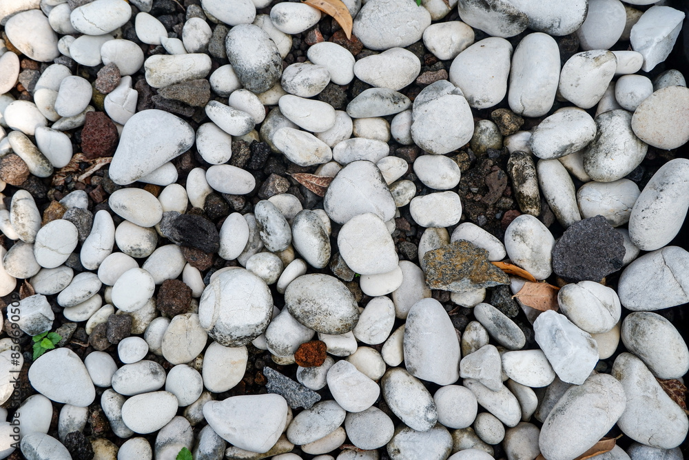 Close up of white gravel texture mixed with soil Close up of white gravel texture mixed with soil