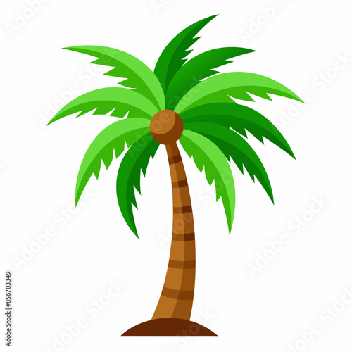 Palm Tree vector illustration