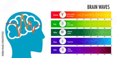 measures brain waves of different frequencies within the brain infographic