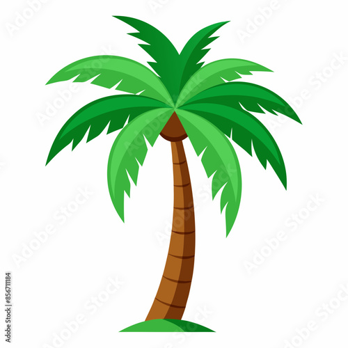 Palm Tree vector illustration