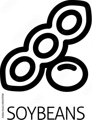 A soybean soy bean food allergen icon concept. Possibly an icon for the allergen or allergy.