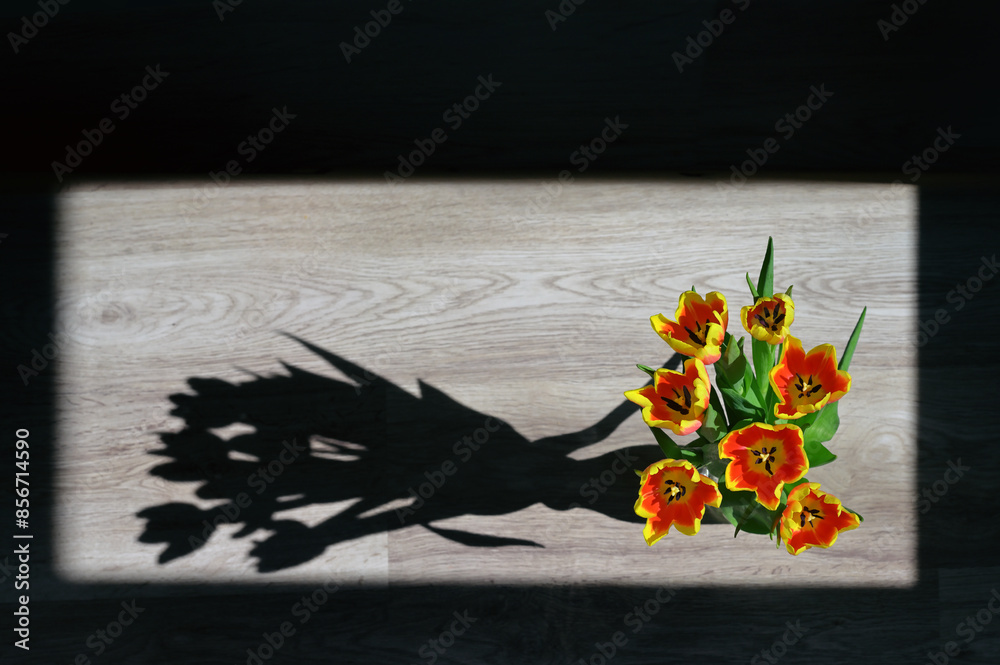 Vase of Tulips isolated on table