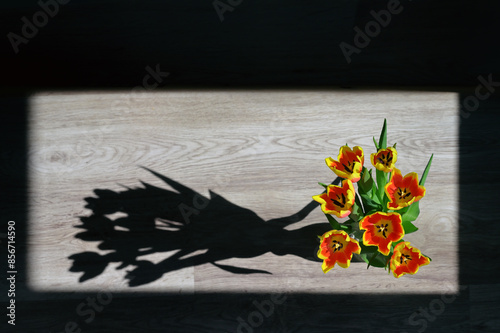 Obraz na płótnie Vase of Tulips isolated on table w salonie