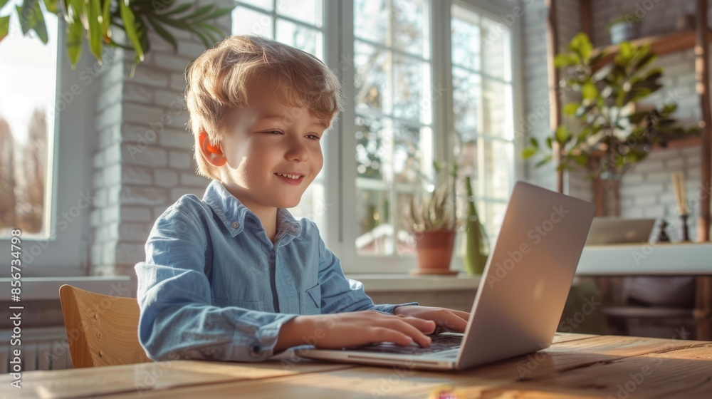 The boy using laptop indoors The boy using laptop indoors
