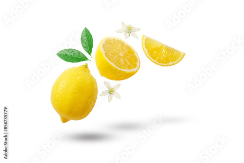 Flying fresh lemon with lemon slice and lemon flower isolated on white background , clipping path.