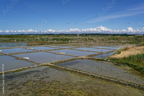 Marais salants près de Guérande