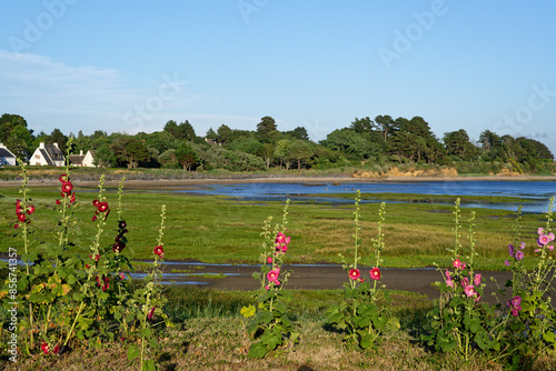 Côte bretonne à marée basse.