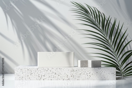 Wallpaper Mural Minimalist Product Display with Palm Leaf Shadows Torontodigital.ca