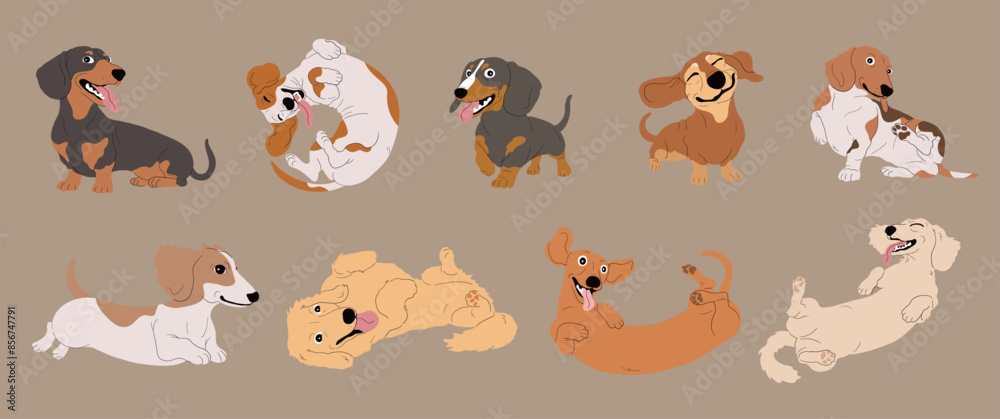 Set of Cute Cartoon Dachshund Dogs with Various Fur Colors and Coat Types,Isolated Vector Illustration Set of Cute Cartoon Dachshund Dogs with Various Fur Colors and Coat Types,Isolated Vector Illustration