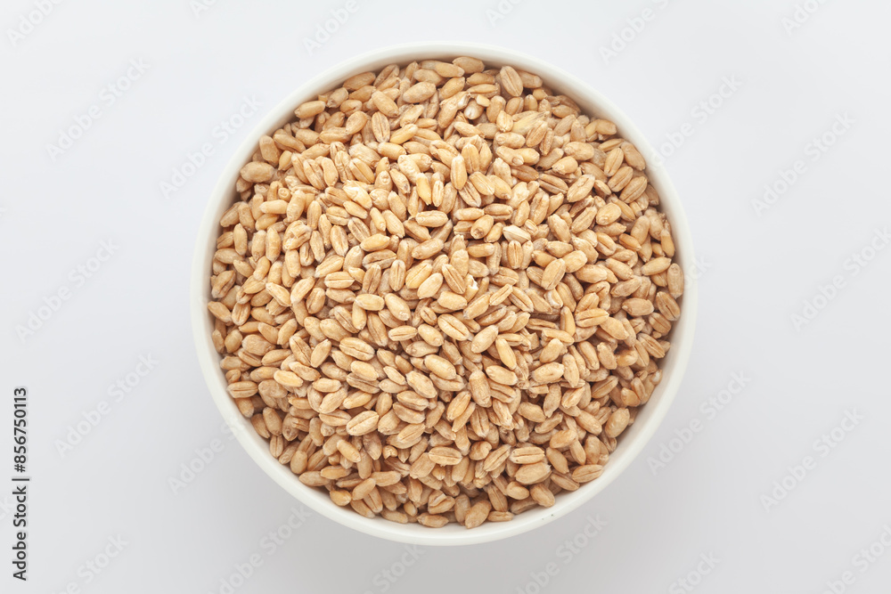 Organic Wheat Grains (Triticum) or Caryopsis Fruits, in a white ceramic bowl. Isolated on a gray background. Top View Organic Wheat Grains (Triticum) or Caryopsis Fruits, in a white ceramic bowl. Isolated on a gray background. Top View