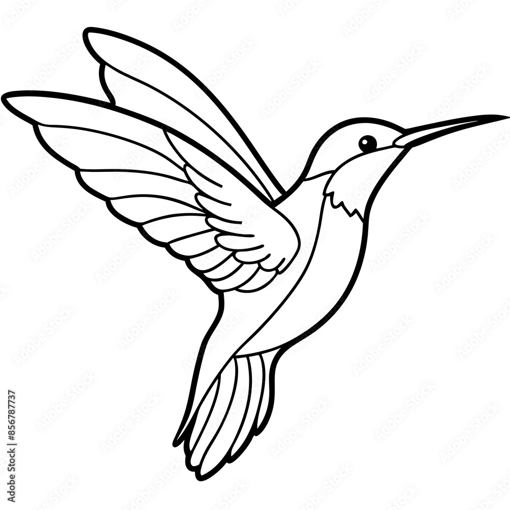 Obraz premium humming bird line art vector illustration