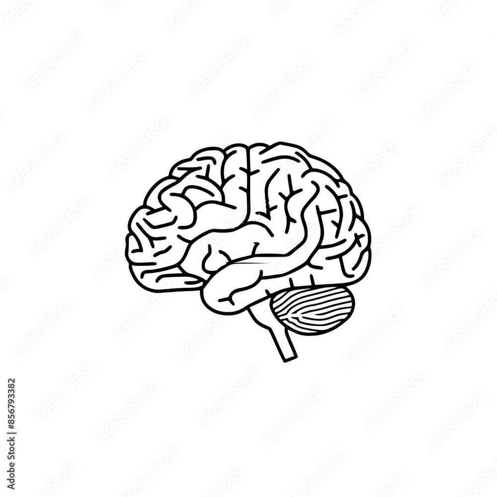 Brain Icon Brain Icon