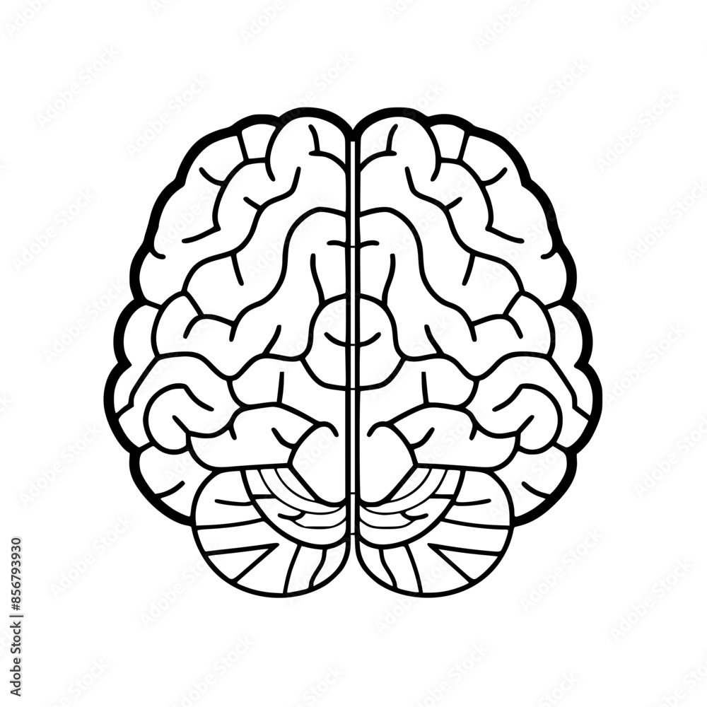 Brain SVG, Human Brain Svg, Brain SVG, Human Brain Svg,