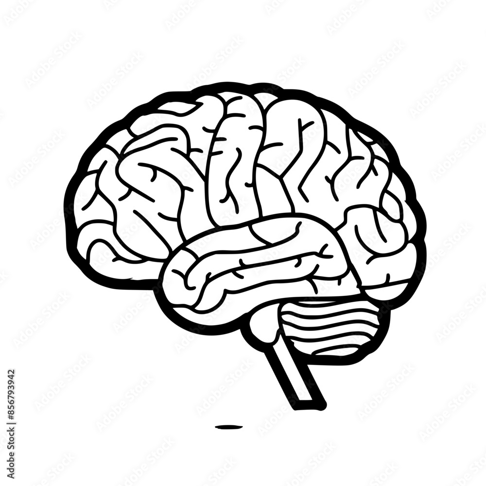 Brain SVG, Human Brain Svg, Brain SVG, Human Brain Svg,