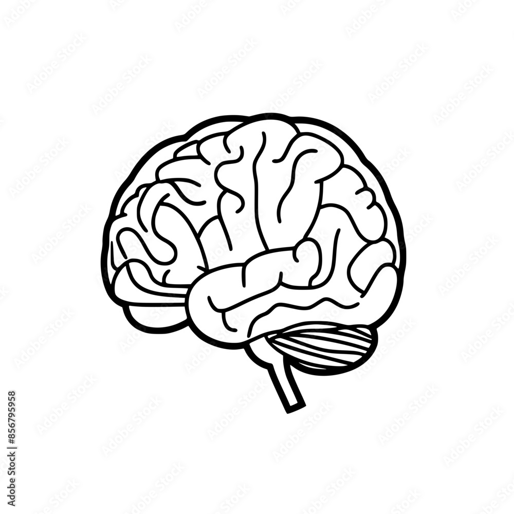 Brain SVG, Human Brain Svg, Brain Clipart, Mind Svg, Brain vector,