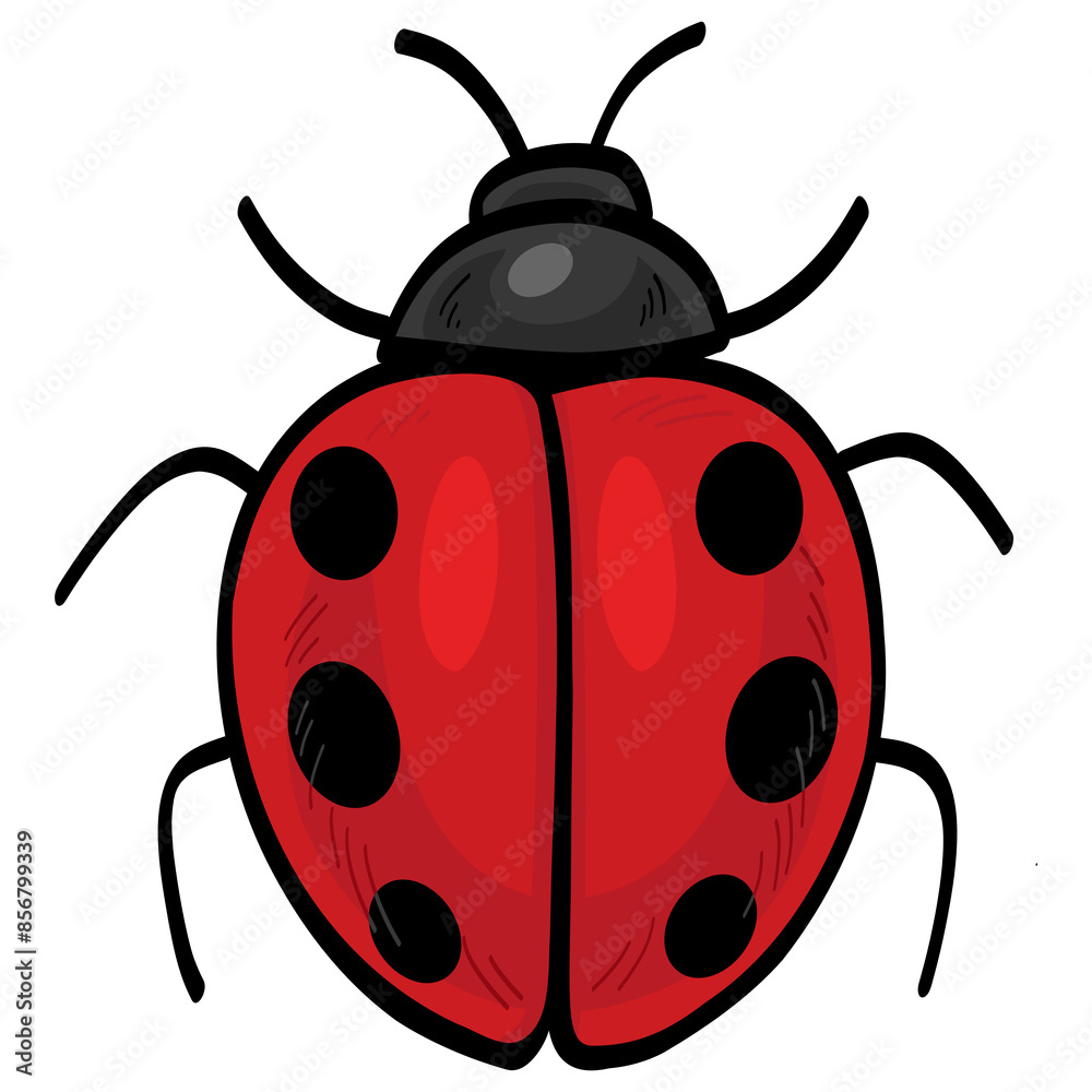 Cute Ladybug Cartoon Insect Illustration Cute Ladybug Cartoon Insect Illustration