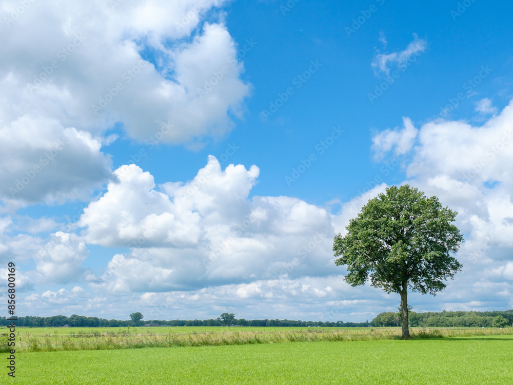 Landschap Salland, Lettele, Overijssel province, The Netherlands Landschap Salland, Lettele, Overijssel province, The Netherlands