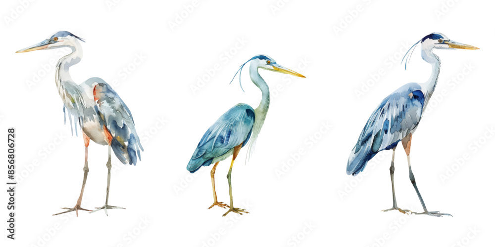 Obraz premium Cute watercolor heron isolated on white background.
