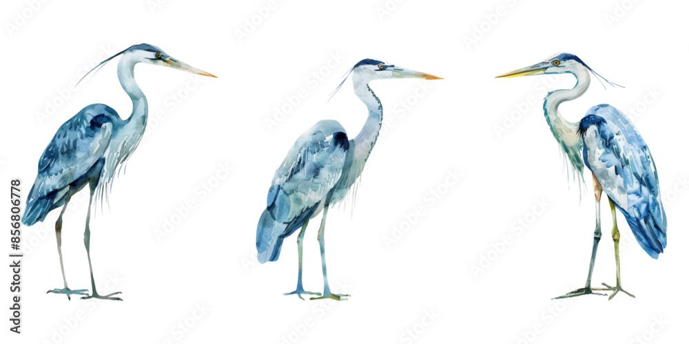 Fototapeta premium Cute watercolor heron isolated on white background.