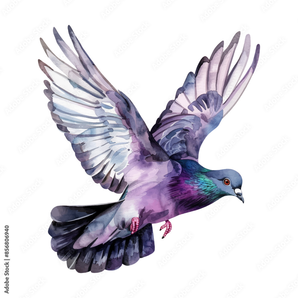 Fototapeta premium Cute watercolor pigeon flying isolated on white background.