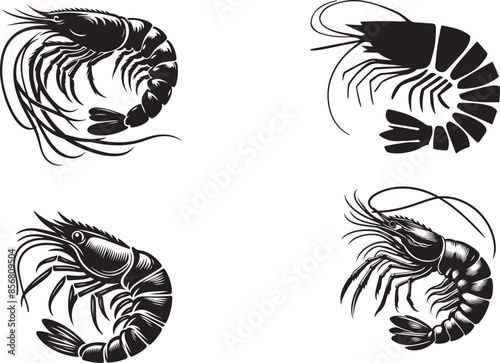  A set of shrimp fish.