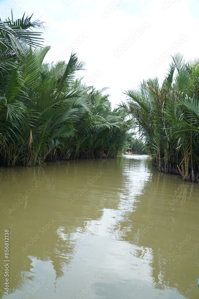 A river with a lot of palm trees on either side