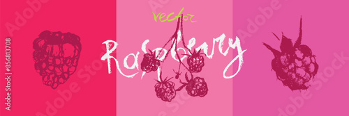 Raspberry symbols. Raspberries set of vector icons. Raspberries logo template and blackberries signs. Pink berry badges. Blackberry sketches. Handdrawn mulberry illustrations.