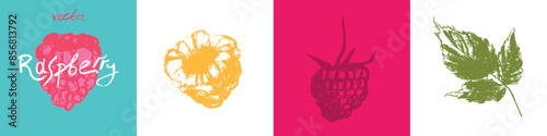 Raspberry symbols. Raspberries set of vector icons. Raspberries logo template and blackberries signs. Pink berry badges. Blackberry sketches. Handdrawn mulberry illustrations.