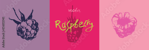 Raspberry symbols. Raspberries set of vector icons. Raspberries logo template and blackberries signs. Pink berry badges. Blackberry sketches. Handdrawn mulberry illustrations.