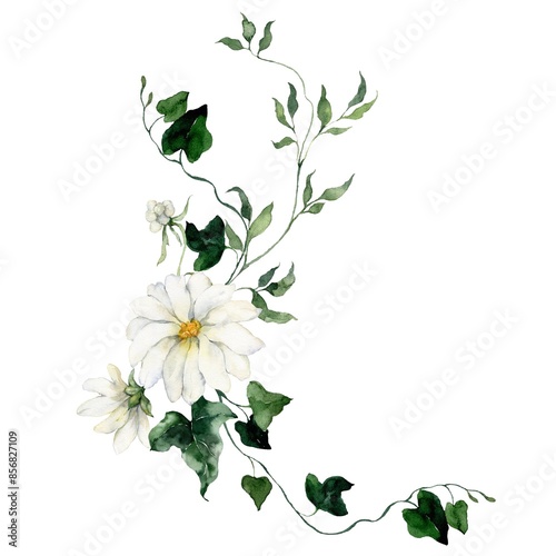 Watercolor floral card featuring flowers, buds, herbs and bedstraw. Hand-drawn composition of a plant bouquet on a white background. An outdoor illustration for design, printing or fabric background. photo