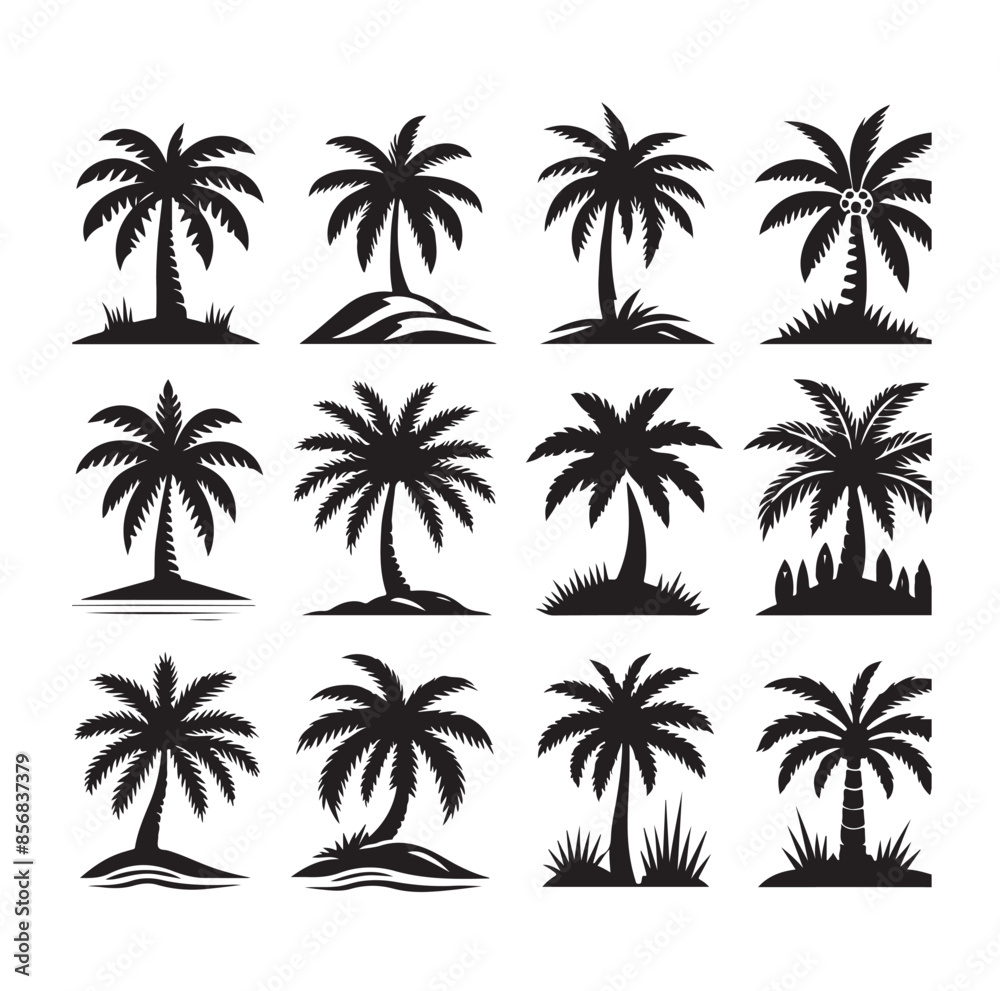 Black palm trees set isolated on white background. Palm silhouettes. Design of palm trees for posters, banners and promotional items. Vector illustration Black palm trees set isolated on white background. Palm silhouettes. Design of palm trees for posters, banners and promotional items. Vector illustration