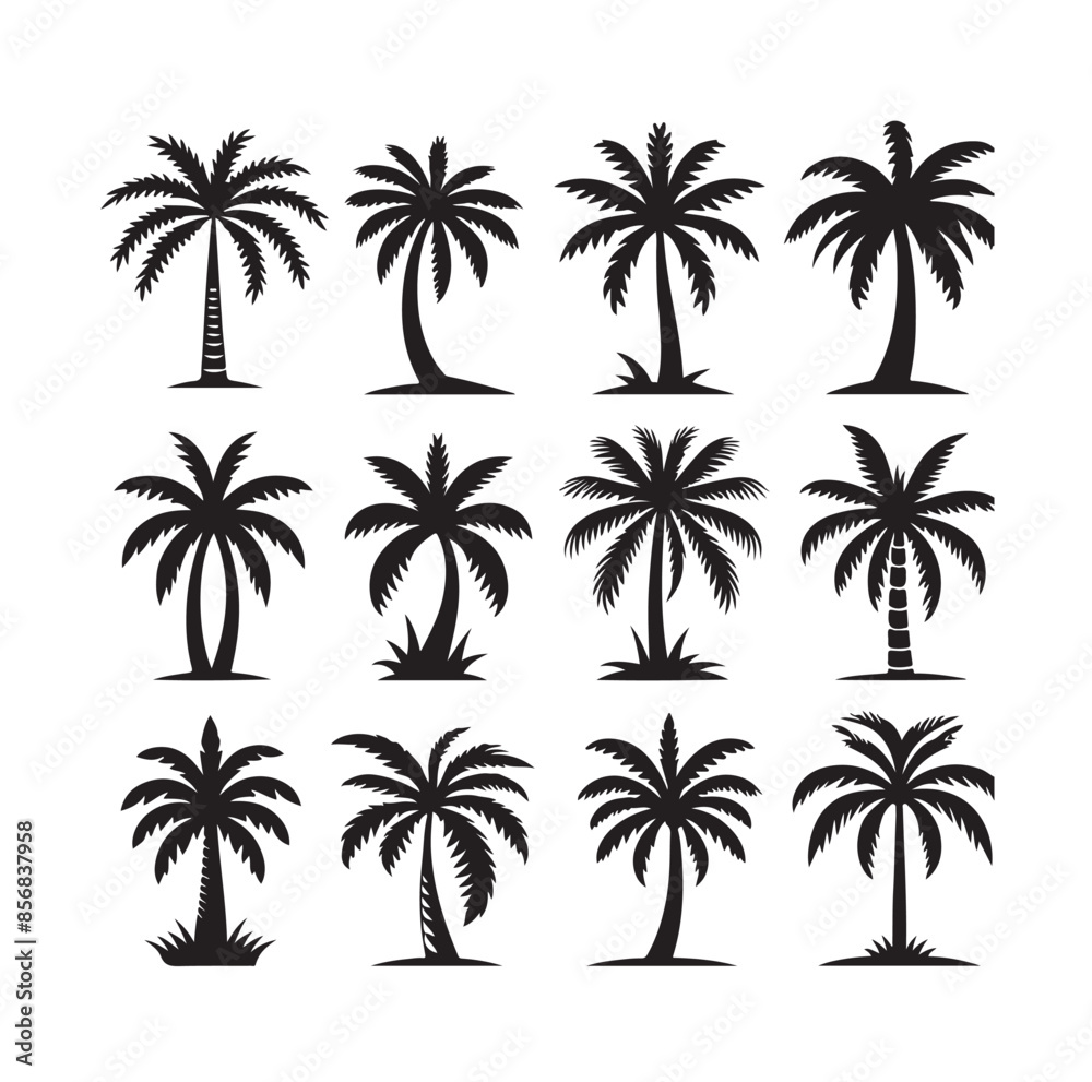 Black palm trees set isolated on white background. Palm silhouettes. Design of palm trees for posters, banners and promotional items. Vector illustration
