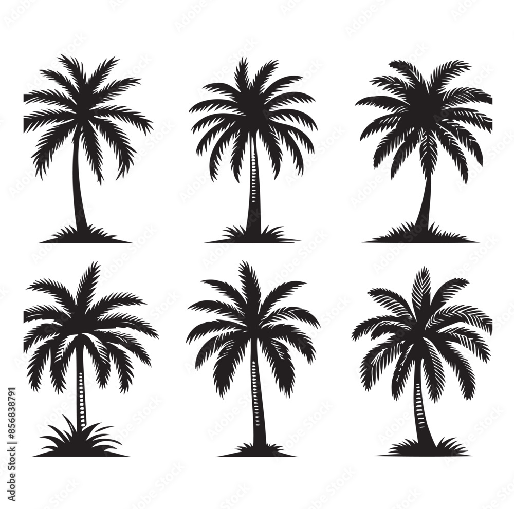 Black palm trees set isolated on white background. Palm silhouettes. Design of palm trees for posters, banners and promotional items. Vector illustration Black palm trees set isolated on white background. Palm silhouettes. Design of palm trees for posters, banners and promotional items. Vector illustration