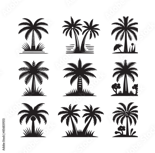 Black palm trees set isolated on white background. Palm silhouettes. Design of palm trees for posters, banners and promotional items. Vector illustration