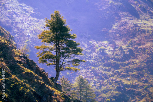 Landscape in the mountains. Dodra and Kwar are two beautiful scenic villages in a remote part of the Himalayas in Himachal Pradesh (India). It is situated at a height of 2500 mts. above sea level. photo