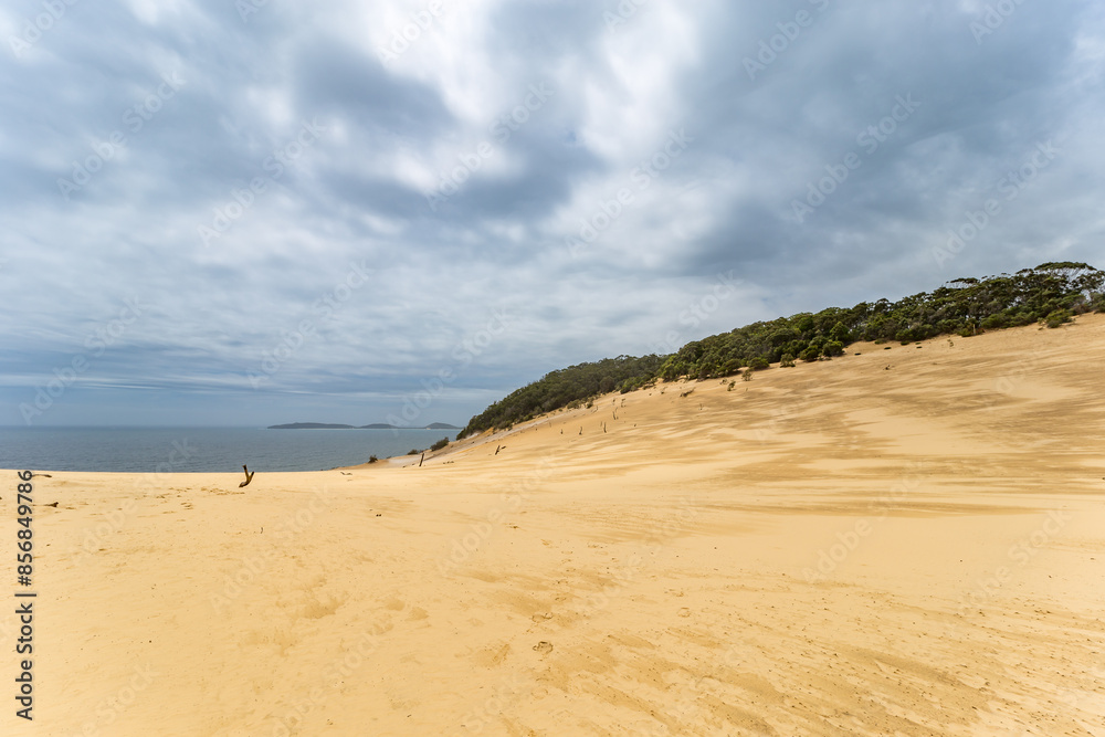 Panorama of Sand Dune at Carlo Sand Blow and Rainbow Beach, Queensland, Australia. Panorama of Sand Dune at Carlo Sand Blow and Rainbow Beach, Queensland, Australia.