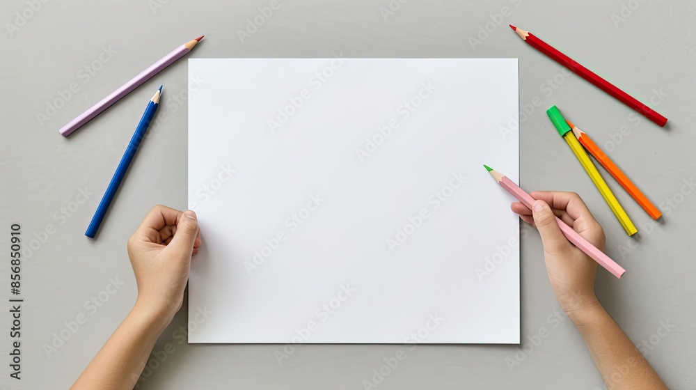 A Blank Canvas Awaits Imagination A Blank Canvas Awaits Imagination