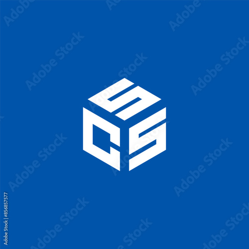 CSS Logo Design Vector