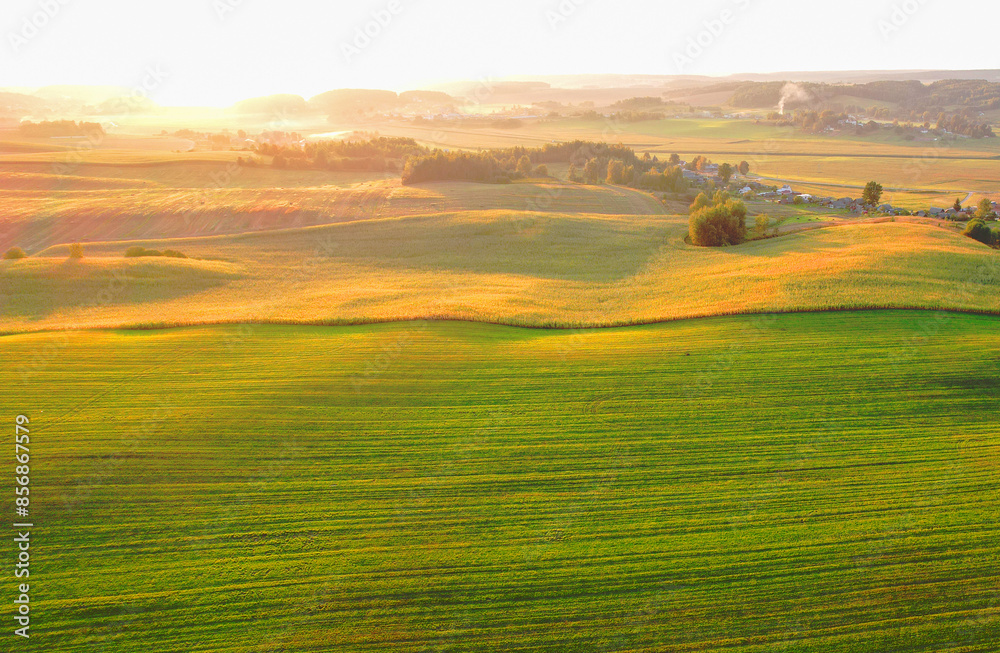 Obraz premium Farm field on sunset. Foggy morning in countryside, aerial view. Agricultural corn field on sunset. Rural landscape in autumn landscape. Green Agricultural field in sun's rays, drone view.