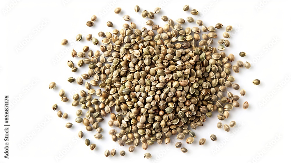 Hemp Seeds isolated on white background Hemp Seeds isolated on white background