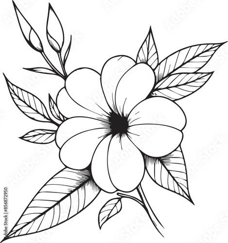 hand drawing flower sketch art of Allamanda cathartica, Allamanda cathartica coloring pages flower line art vector illustration, floral garden for beautiful cute easy flower art