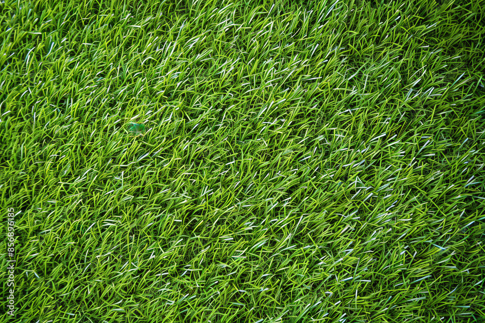 Artificial green grass floor selectively focuses on the detail and texture background or backdrop. Artificial green grass floor selectively focuses on the detail and texture background or backdrop.