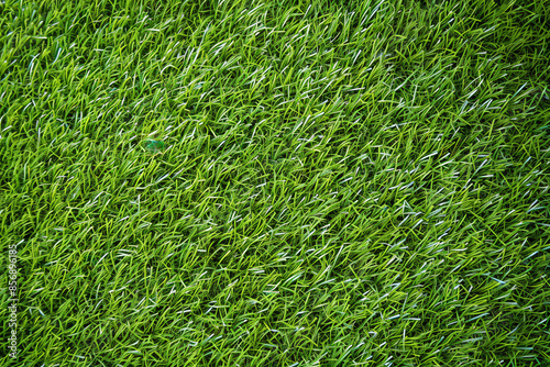 Wallpaper Mural Artificial green grass floor selectively focuses on the detail and texture background or backdrop. Torontodigital.ca